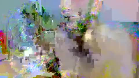 pipe_sexxx online show from 14, 10, 2025