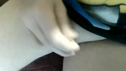 pippo online show from 26, 2, 2025