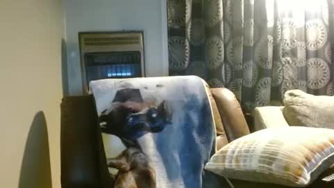 pirate334 online show from 7, 1, 2026