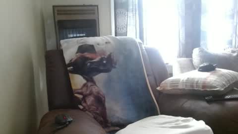 pirate334 online show from 3, 2, 2026