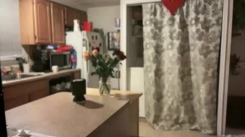 pirdybirdyxo online show from 30, 1, 2025