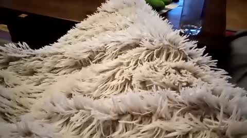 Snapshot of pitoenmano_ chatting on 9, 2, 2025 Antn online show from 9, 2, 2025