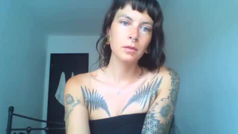 pixiecatfairy online show from 17, 9, 2025