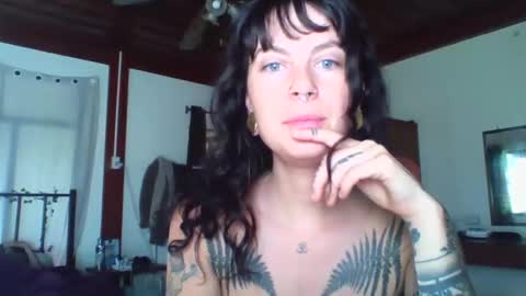 pixiecatfairy online show from 16, 11, 2025