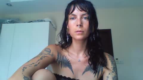 pixiecatfairy online show from 6, 3, 2026