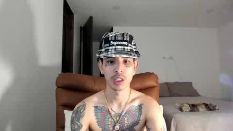 Carti online show from 15, 2, 2026