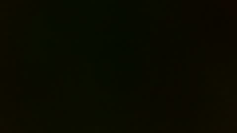 playboytit online show from 4, 12, 2024