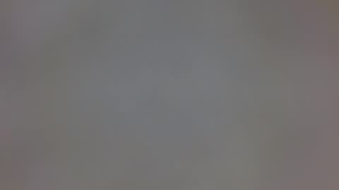 playboytit online show from 20, 12, 2024