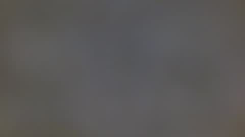 playboytit online show from 27, 12, 2024