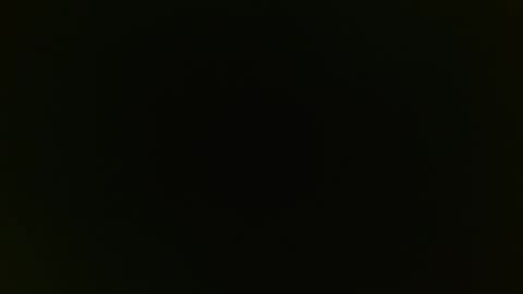 playboytit online show from 5, 1, 2025