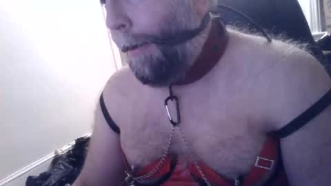 Snapshot of pleasurepuppt chatting on 22, 1, 2025 pleasurepuppt online show from 22, 1, 2025