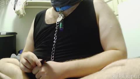 PlugPup online show from 21, 12, 2025