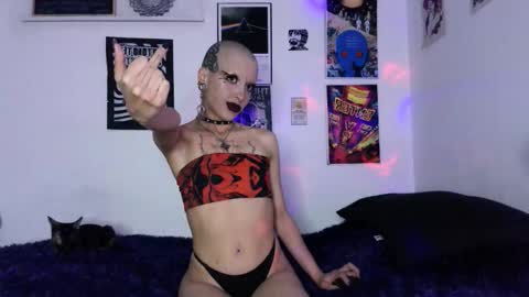    online show from 16, 3, 2026