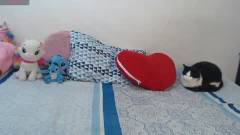 Pocahontas online show from 29, 10, 2025