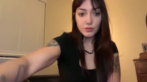 pocketnikki online show from 5, 3, 2025