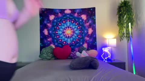Jenna online show from 3, 8, 2026