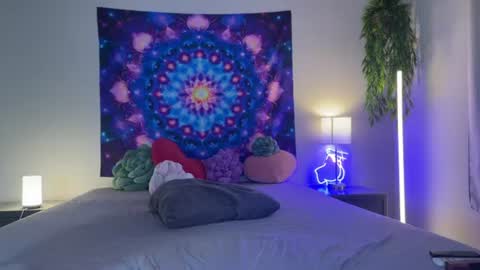 Jenna online show from 9, 8, 2026