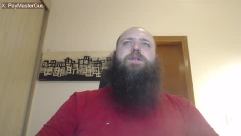 Bear online show from 29, 4, 2026