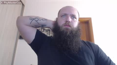 Bear online show from 30, 4, 2026