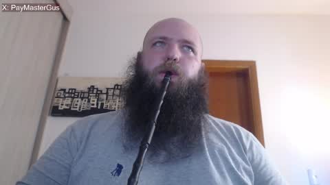 Bear online show from 2, 5, 2026