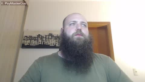Bear online show from 11, 5, 2026