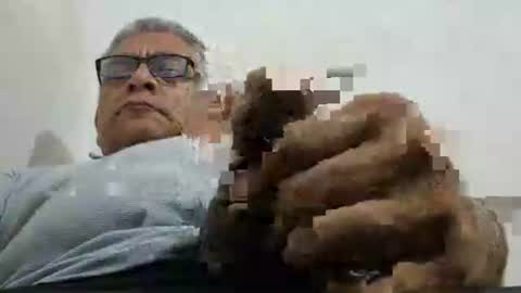 poli online show from 2, 5, 2026