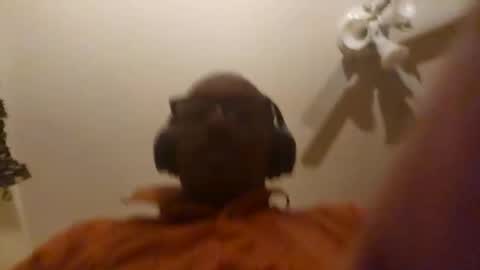 Phil online show from 8, 4, 2026