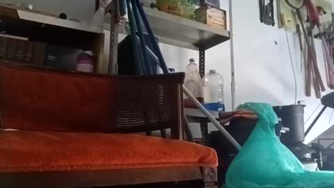 Snapshot of poundgame0710 chatting on 14, 9, 2025 PipeLayerPlayer007 online show from 14, 9, 2025