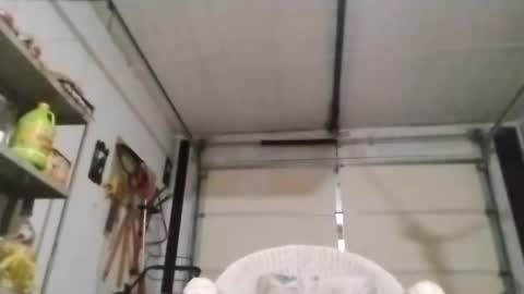 Snapshot of poundgame0710 chatting on 4, 10, 2025 PipeLayerPlayer007 online show from 4, 10, 2025