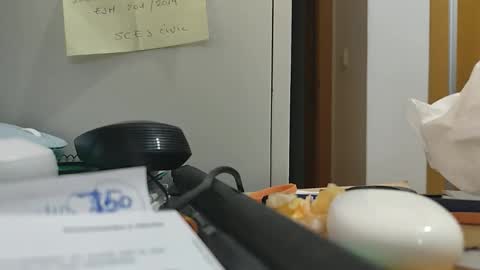 Snapshot of ppillo chatting on 17, 11, 2025 ppillo online show from 17, 11, 2025