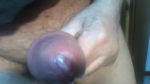 predator19491 online show from 25, 4, 2026