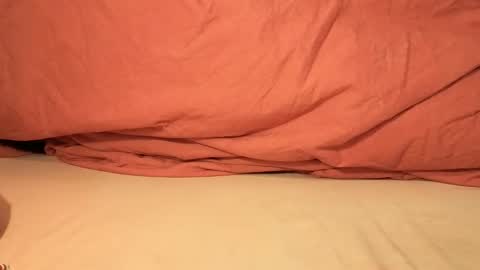 premiumcumshot online show from 12, 5, 2026