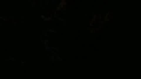 pretty_justino online show from 24, 3, 2026