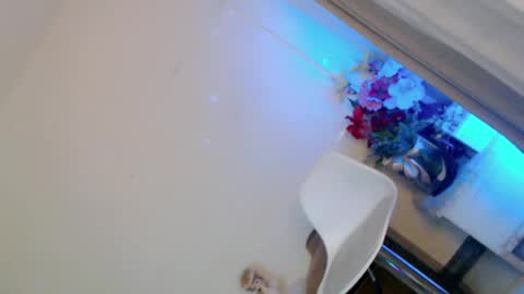 prettybadbitch28 online show from 9, 6, 2026