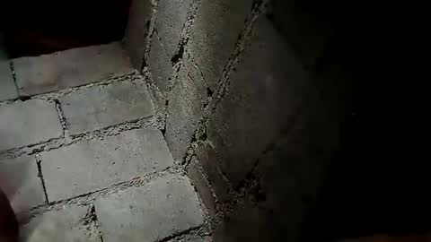 prettyneca5991 online show from 19, 12, 2024