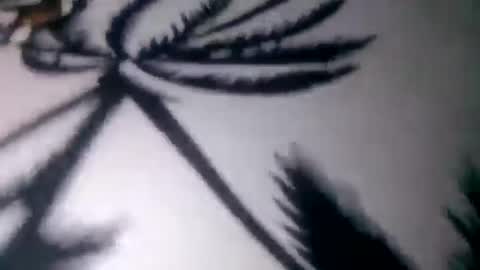 prettyrose01 online show from 3, 7, 2026