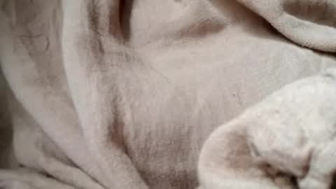 prettyrose01 online show from 14, 7, 2026