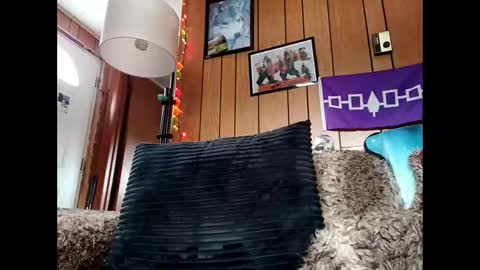 Snapshot of prettysolid7 chatting on 12, 1, 2026 prettysolid7 online show from 12, 1, 2026