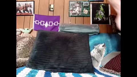 Snapshot of prettysolid7 chatting on 22, 3, 2026 prettysolid7 online show from 22, 3, 2026