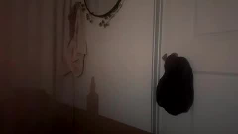 prettything11 online show from 10, 11, 2025