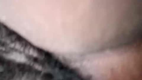 Princess Asshole online show from 19, 5, 2026