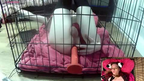 PrIncessJulia0X online show from 3, 2, 2026