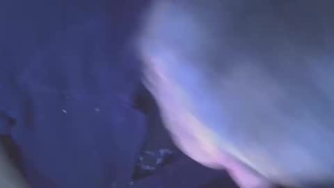 projectorepson online show from 11, 1, 2026