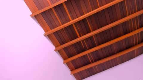 Mara online show from 16, 12, 2024