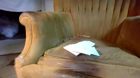 Snapshot of pspee313 chatting on 28, 2, 2026 pspee313 online show from 28, 2, 2026