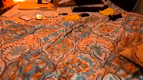 LOVE TO GET MY ASS FUCKED online show from 8, 3, 2026