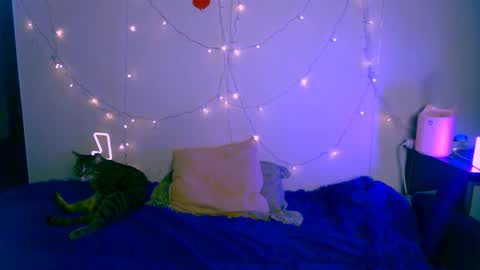 EsteticHouse online show from 24, 1, 2025