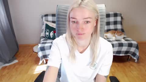 Polly online show from 2, 5, 2026