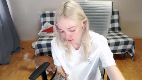 Polly online show from 3, 5, 2026