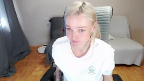 Polly online show from 8, 5, 2026